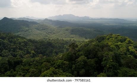 nakawan in english|Meaning of nakawan .
